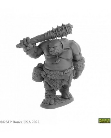 Ogre Guard