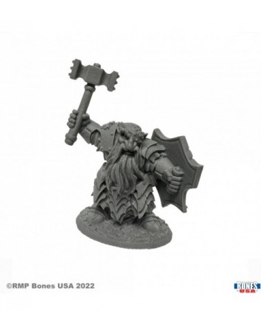 Dark Dwarf Striker