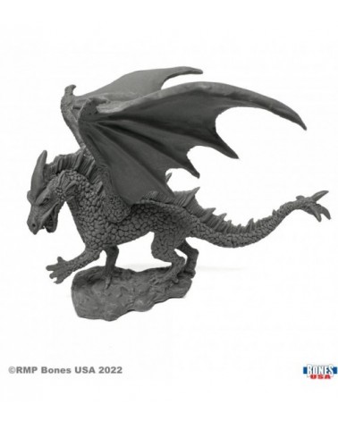 Young Ice Dragon
