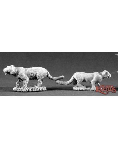 Animal Companions - Ferocious Felines